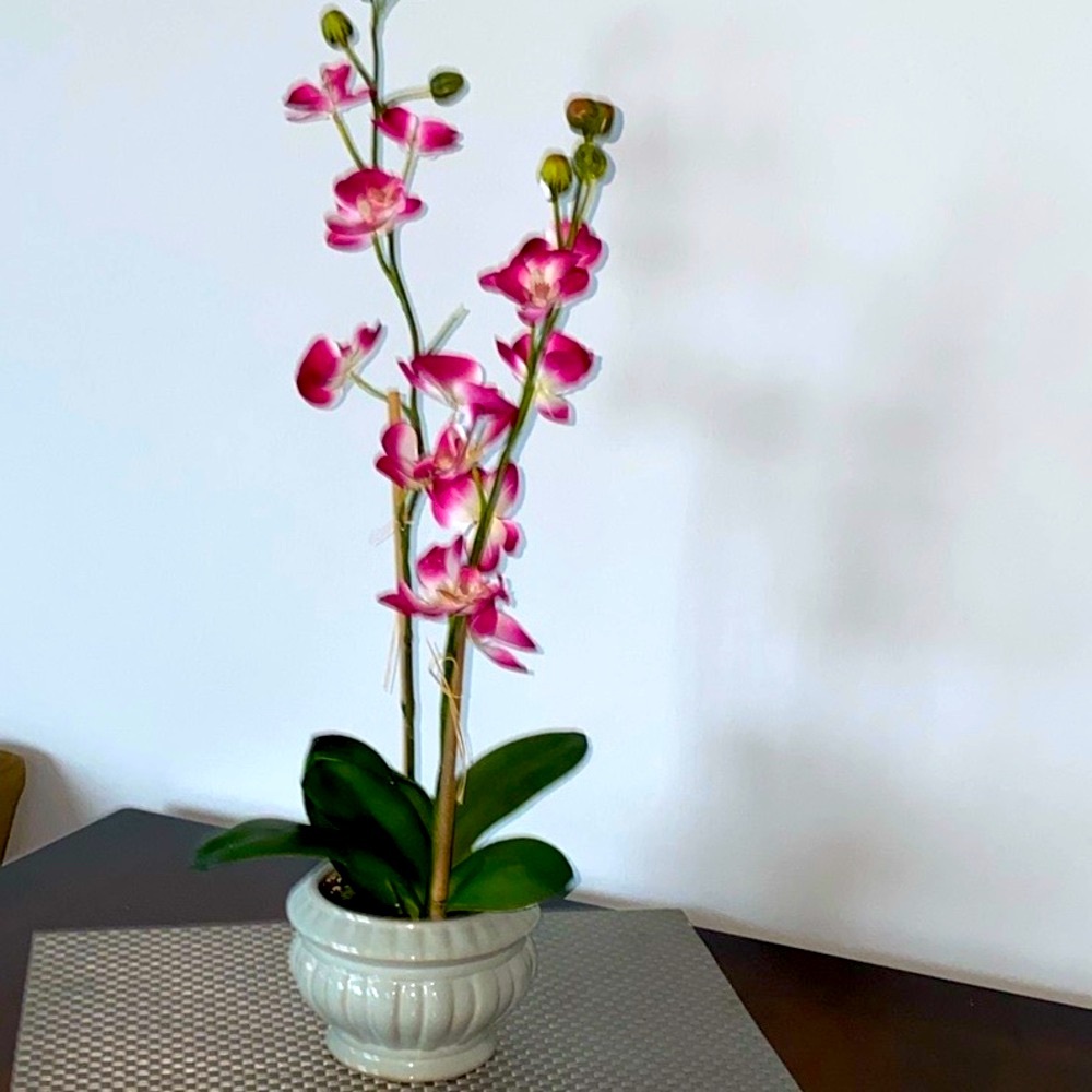Orchid Plant Luxury decorative flowers with Pot Home Decor Light Pink